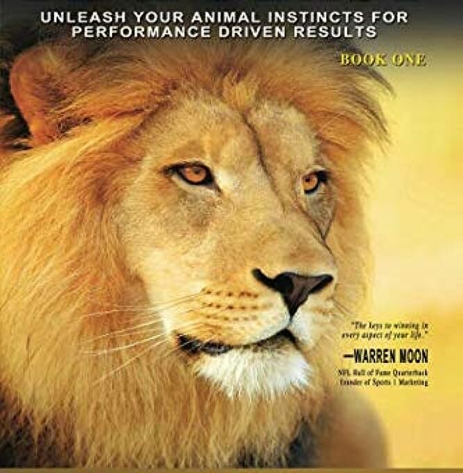 Rogers Automotive